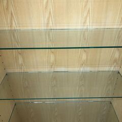 ★4枚扉コレクションボード【joh00275】