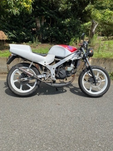 極上 和彫 猫にネズミ根付 20g 東キ7-0829☆2F 極上 和彫 猫にネズミ根付 20g 東キ7-0829☆2F 極上 和彫 猫にネズミ