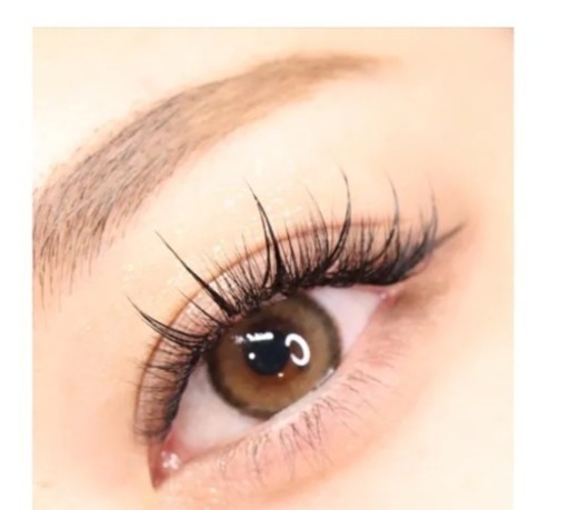 9 6の11時限定 マツエク無料モデル募集 2dフラットラッシュ かれん 本巣のヘアサロンの無料広告 無料掲載の掲示板 ジモティー