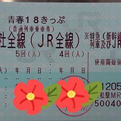 【ネット決済・配送可】青春18きっぷ ３回分