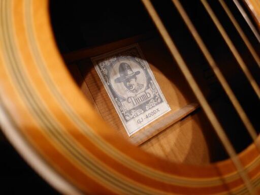 寺田楽器 Thumb サム PU付アコギ アコースティックギター エヴァリー