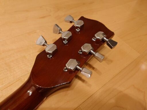 寺田楽器 Thumb サム PU付アコギ アコースティックギター エヴァリー