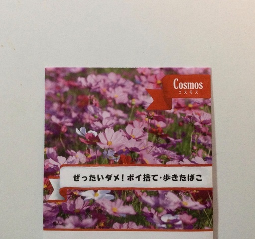 秋まき 秋桜 コスモスの種 東京優芳園 花壇 鉢植え プランターに Aomono 大阪の家庭用品 ガーデニング の中古あげます 譲ります ジモティーで不用品の処分