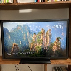 液晶テレビ40インチ三菱REAL LCD-40ML7(おまけ付)