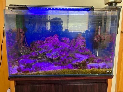 熱帯魚水槽セット一式（海水）淡水も可能