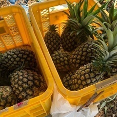 石垣島産パイナップルやマンゴー - 友達