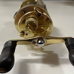 01カルカッタコンクエスト300