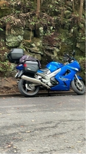 最後のキャブ車　zzr1200