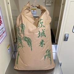 お米　30kg   茨城県コシヒカリ　新米　精米済み