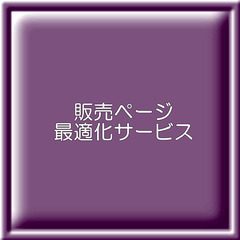 販売ページ最適化サービス 500アイテム（税別）