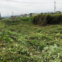 兵庫県南西部の草刈り承ります。一坪50円と実費　100坪だと50...