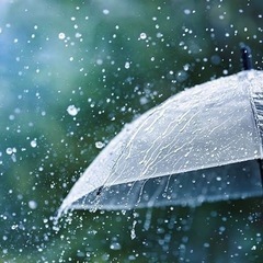 雨が好きな方