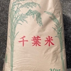 【受付終了】コシヒカリ（2021年収穫）米　玄米　白米