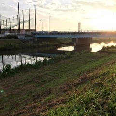 早起きウォーキングorジョギング仲間🏃‍♂️