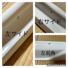 キャリー　フロントリップ