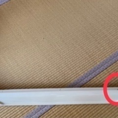 キャリー　フロントリップ