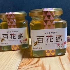 【ネット決済・配送可】日本みつばちの百花蜜