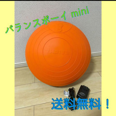 【★送料無料★】THRIVEバランスボーイmini　FD-093