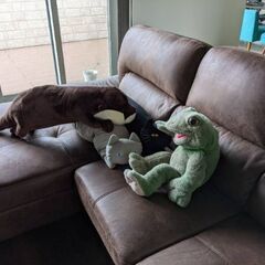 ソファー売ります 11/20まで