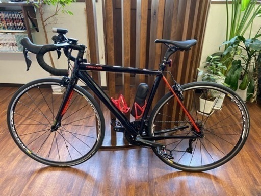 cannondale CAAD OPTIMO 105   サイズ51 すぐ乗れます
