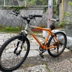 ヴィンテージMTB（最終）