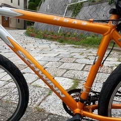 ヴィンテージMTB（最終）