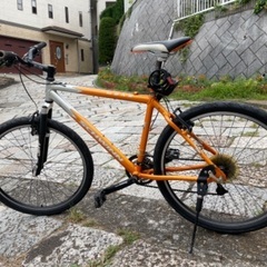 ヴィンテージMTB（最終）