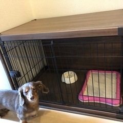美品】ペットケージセット 犬 猫