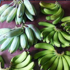 【取引中】予約のバナナ