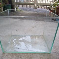ガラス飼育水槽