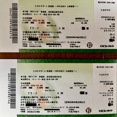 たまむすび  in 武道館 S席パンフレット付き  ペアチケット