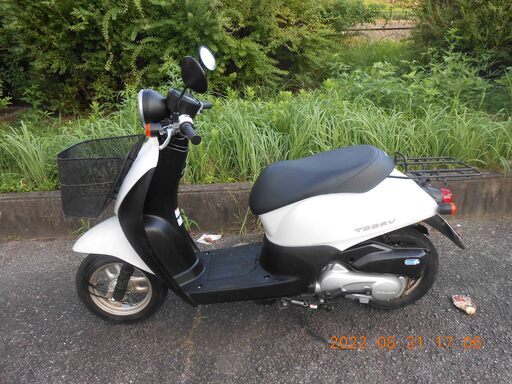 ホンダ　TODAY  50 cc スクーター　自賠責保険（残月）付き