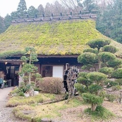 ダイエット友達⸜🙌🏻⸝‍