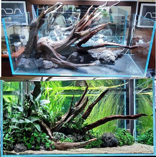 【現金可】流木付き!ADA120×50×50　ソーラーRGB×2　水槽台　エーハイム2080超大型フィルター　等8点