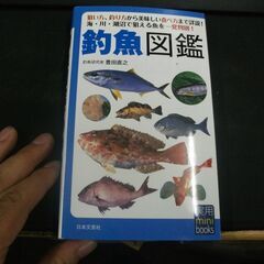 釣魚図鑑 (実用mini books)  豊田 直之