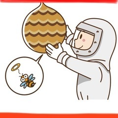 ハチの巣を駆除します　‼️の画像