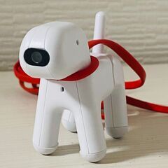 エレコムの犬型ウェブカメラ（美品）