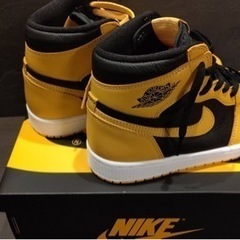 NIKE AIR JORDAN 1エアジョーダン1 ポレンPOLLEN