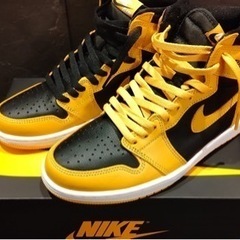 NIKE AIR JORDAN 1エアジョーダン1 ポレンPOLLEN