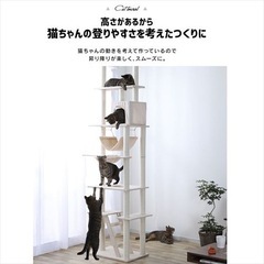 【ネット決済】つっぱり型キャットタワー