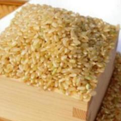 【新米・古米】コシヒカリ玄米5㎏
