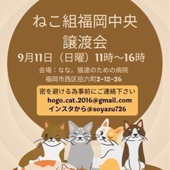 9/11（日曜）ねこ組🐾福岡中央譲渡会at なな。猫達のための病院