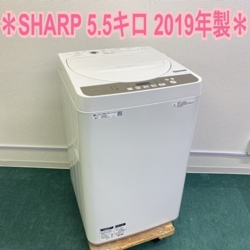 【ご来店限定】＊シャープ 縦型 全自動洗濯機 5.5キロ 2019年製＊
