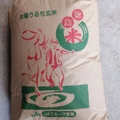 古米　令和三年産徳島市産コシヒカリ　玄米30kg