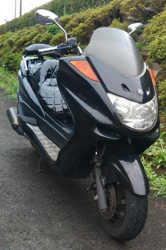 マジェスティC 限定車 (1719) 極限まで低さを追求したヤマハ