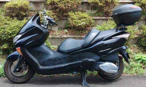 フォルツァZ MF08後期 7速 (1722)