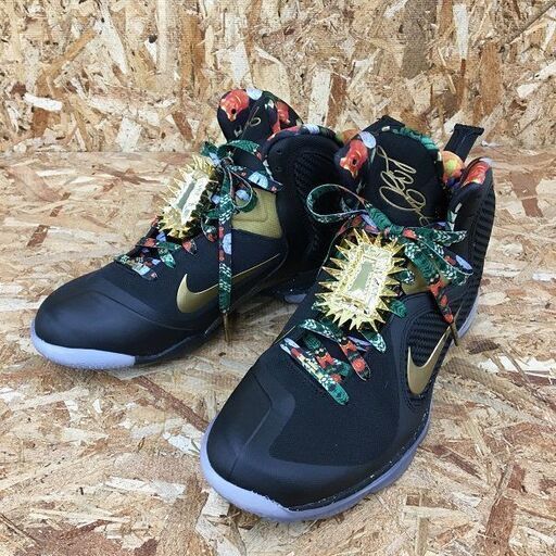 Wa240　NIKE　LEBRON　メタリックゴールド　DO-9353-001