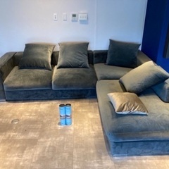 購入者決定ボーコンセプト ソファ boconcept