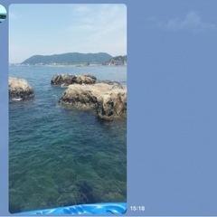 【無料】岩礁スノーケリング＆SUP＆シーカヤック - 三浦郡