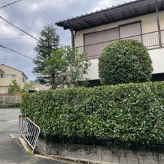 剪定作業、除草作業などお庭のお仕事お任せください。まずはお…